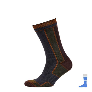 phpThumb_generated_thumbnailjpg (1)