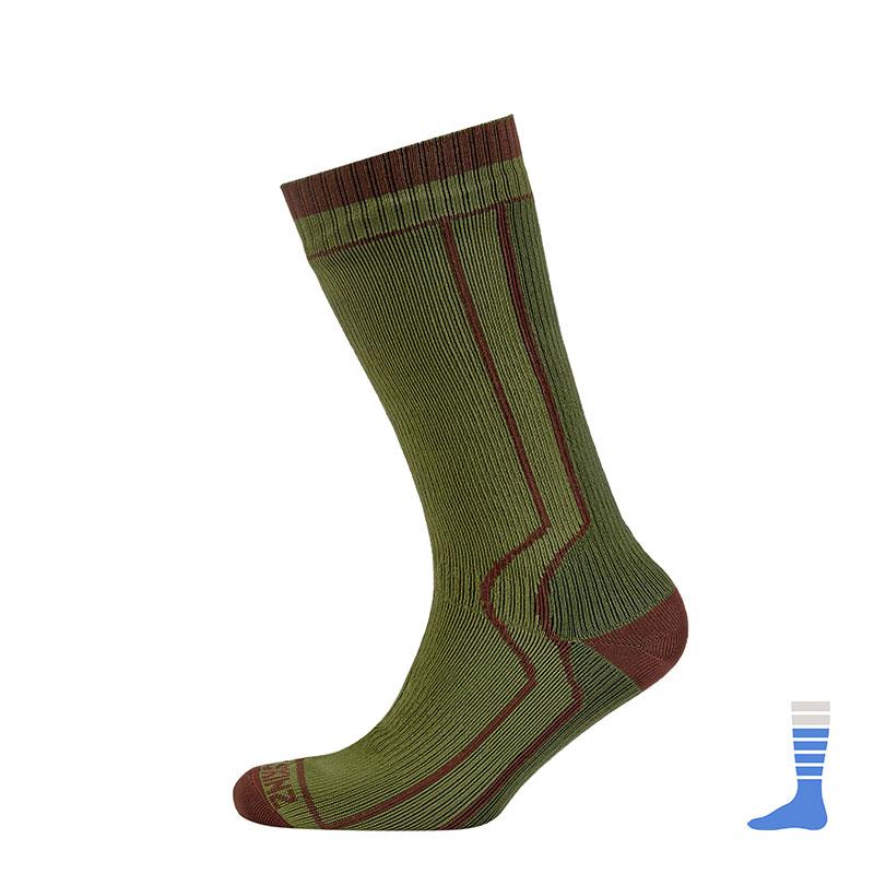 phpThumb_generated_thumbnailjpg